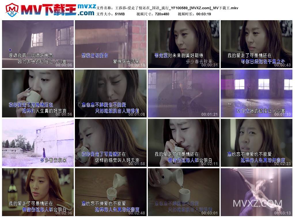 王莎莎-爱走了情还在_国语_流行_YF100589